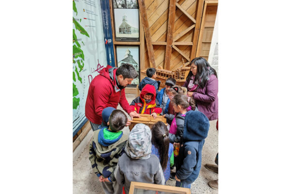 Actividades pedagógicas